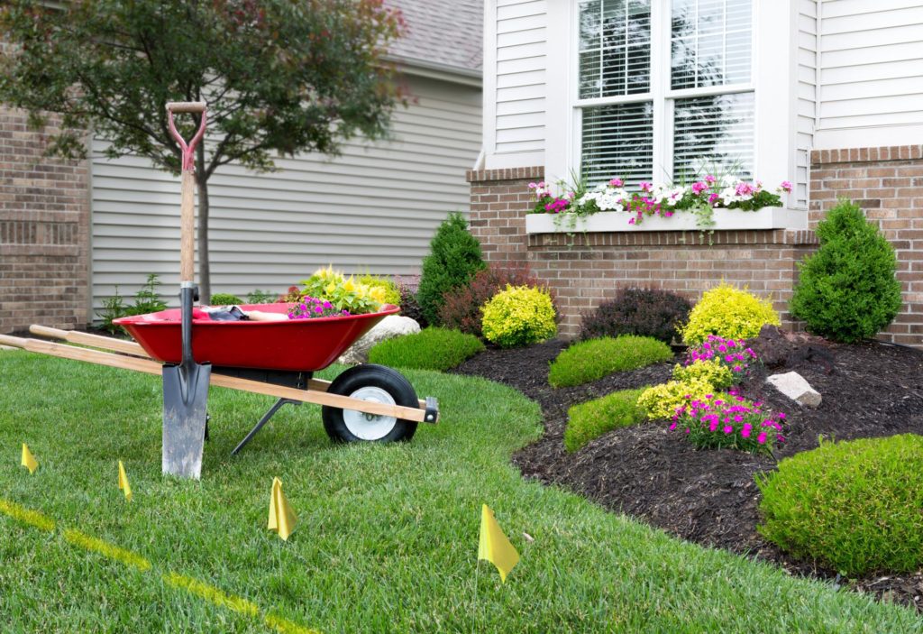 gardening and landscaping